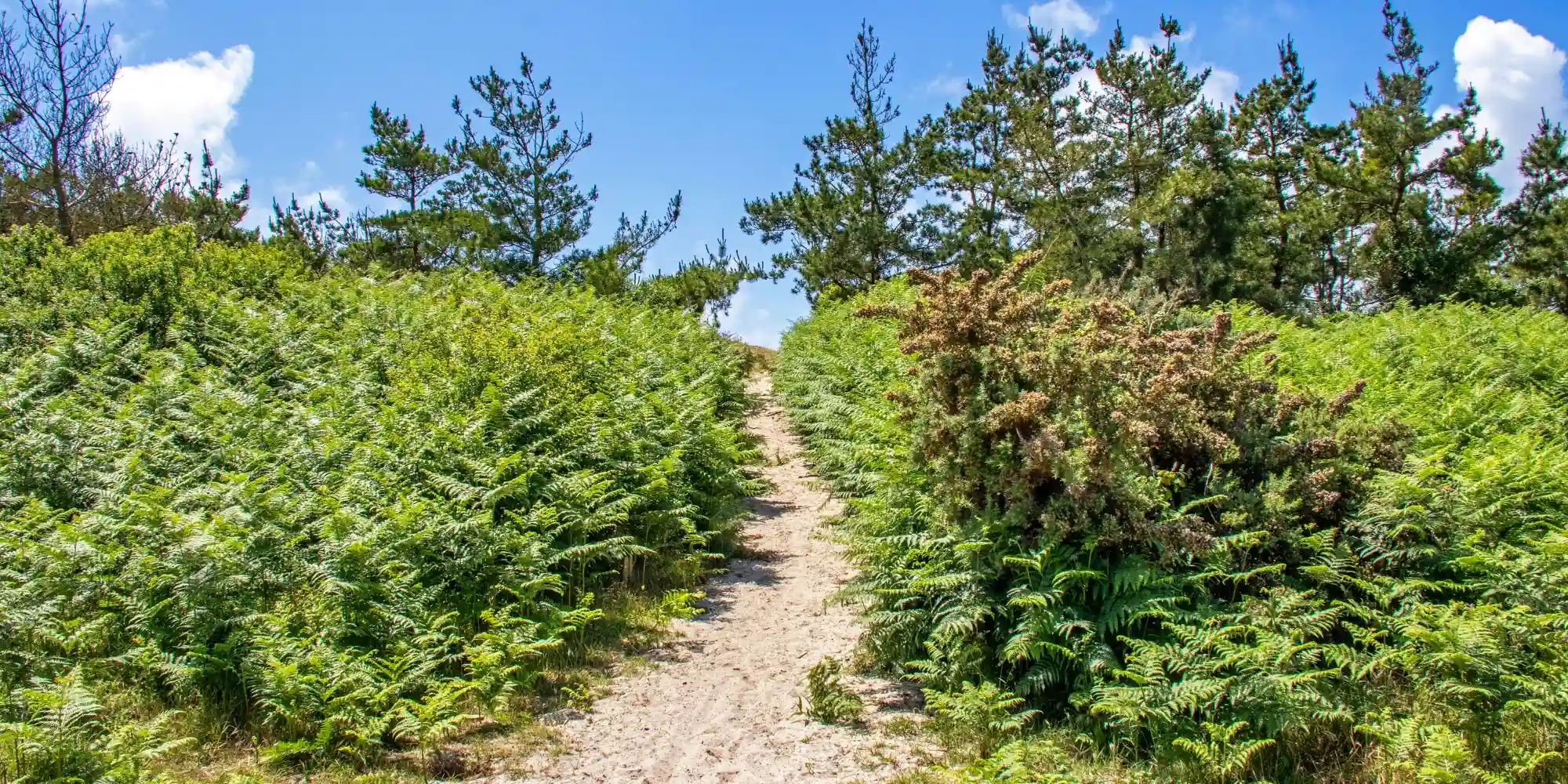 bezoek wandelen camping finistère